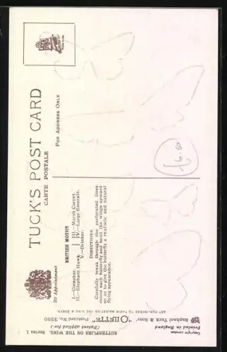 AK Schmetterlinge der Arten Cinnabar und Elephant Hawk