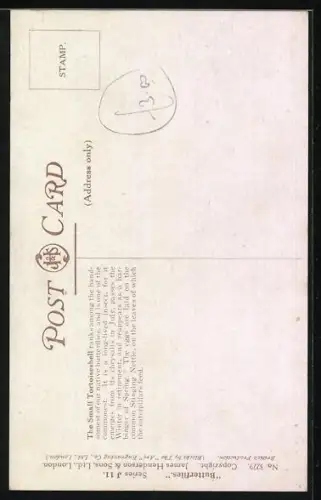 Künstler-AK Small Tortoiseshell, Schmetterlinge an einer Blüte