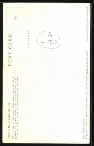 AK The Red Admiral displays his rank while resting on the Buddleia bush