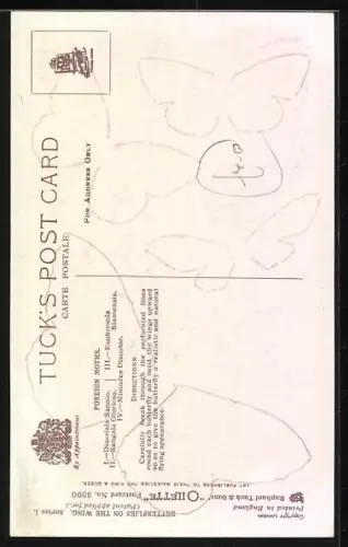 AK Diverse Schmetterlingsarten, Sangala Gloriosa, Diacrisia Sannio