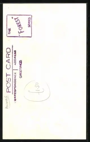 AK She`s My Baby, Two Donkeys