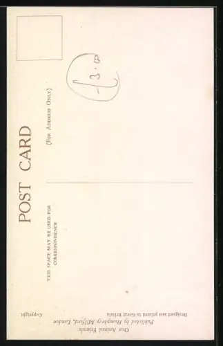 AK Zwei Katzen und tollpatschige Schweine auf einem Bauernhof