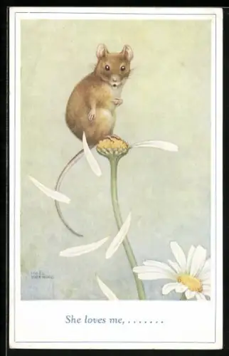 Künstler-AK She loves me,..., Maus auf Margeritenblüte