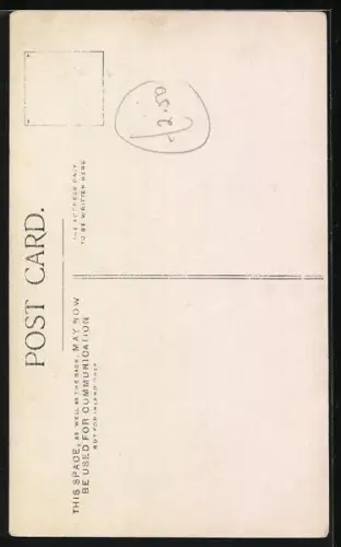 Foto-AK Sitzender Hund blickt nach oben, Portrait