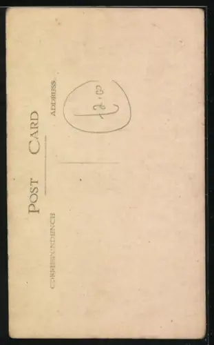 Foto-AK Pekinese auf einem Spitzendeckchen