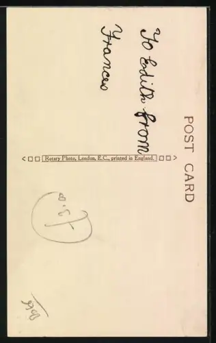 Foto-AK Pudel mit weisser Blesse auf einem Fell