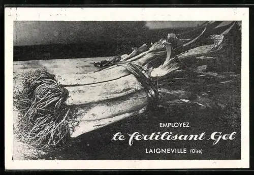 AK Laigneville /Oise, Le fertilisant Gel, Reklame