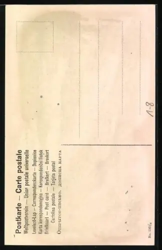 AK Schwerin, Vermählungsfeier des deutschen Kronprinzen-Paares, Grosshzrgl. Schloss Schwerin und Kgl. Schloss Berlin