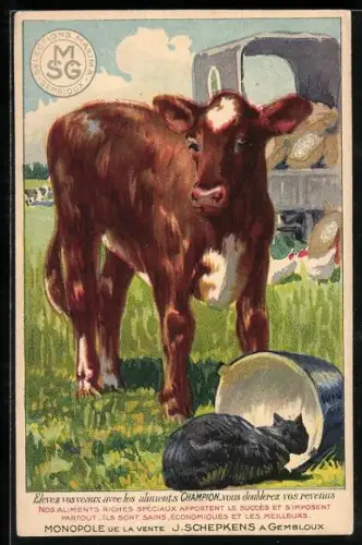 AK Reklame Monopole de la Vente J. Schepkens a Gembloux, junge Kuh mit Katze