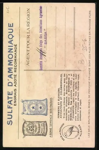 AK Reklame Monopole de la Vente J. Schepkens a Gembloux, junge Kuh mit Katze