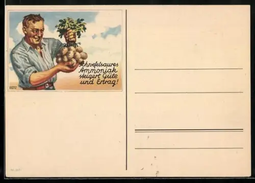 AK Reklame Schwefelsaures Ammoniak, Bauer präsentiert grosse Rüben