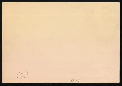 AK Reklame Schwefelsaures Ammoniak, Bauer präsentiert grosse Rüben