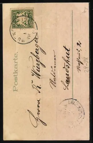 Foto-Collage-AK Junge Frau sitzt mit weissen Tauben im Park, Passepartout mit Blumen