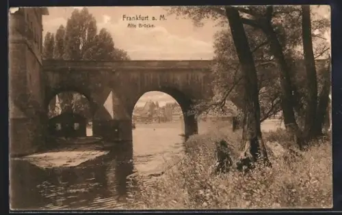 AK Alt-Frankfurt, Alte Brücke