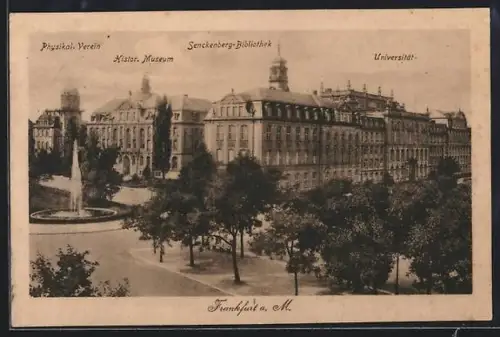 AK Frankfurt-Westend, Physikal. Verein, Histor. Museum, Senckenberg-Bibliothek, Universität