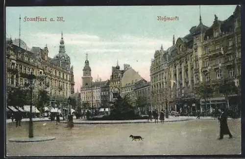 AK Frankfurt a. M., Rossmarkt
