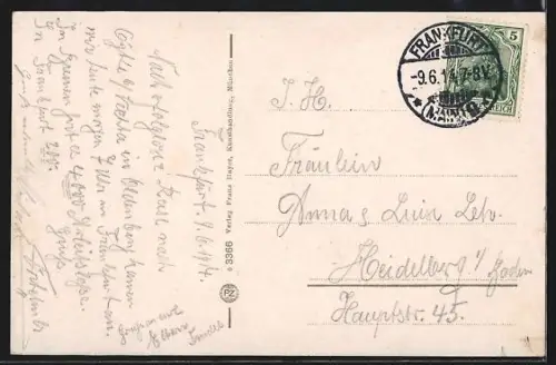 AK Alt-Frankfurt, Neuer eiserner Steg, Dom