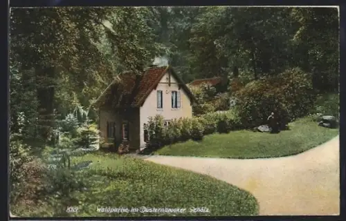 AK Kiel, Düsternbrooker Gehölz, Waldpartie