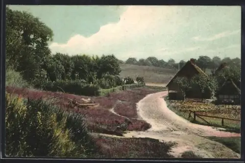AK Worpswede, Umgebung, Bauernhäuser am Heidesaum