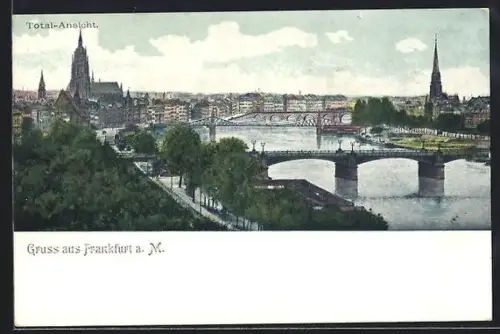 AK Alt-Frankfurt, Total-Ansicht, Brücke, Dom