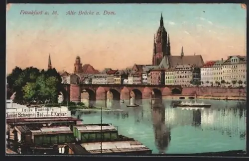 AK Alt-Frankfurt, Alte Brücke, Dom, Damen Schwimm Bad