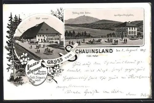 Lithographie Schauinsland /Südl. Schwarzwald, Landhaus Dreyhalden und Halden-Wirtshaus