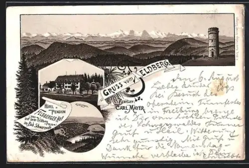 Lithographie Feldberg /Schwarzwald, Hotel Feldberger Hof, Feldbergturm, Alpenpanorama