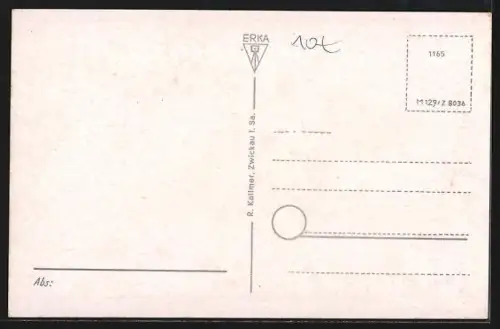 AK Plauen i. Vogtl., Stadtkrankenhaus, Strassenbahnschienen und Grünanlagen