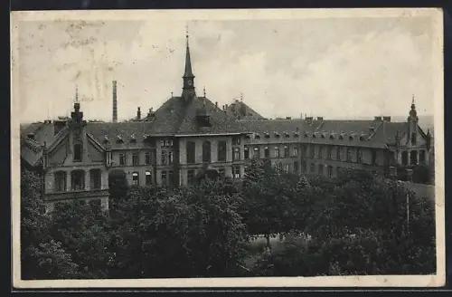 AK Halle a. S., Krankenhaus Bergmannstrost mit Grünanlagen