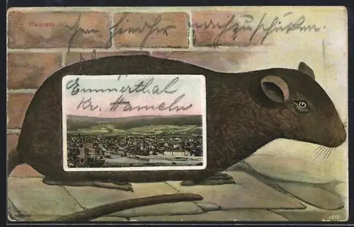 Grusskarten-AK Hameln, Stadtpanorama, Ratte