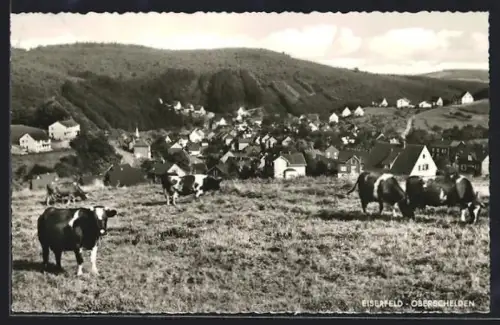 AK Eiserfeld-Oberschelden, Gesamtansicht mit weidenden Kühen