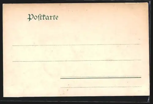 AK Bacharach /Rh., Totalansicht mit Rheinblick