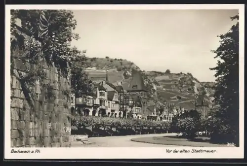 AK Bacharach /Rh., Vor der alten Stadtmauer, Panorama