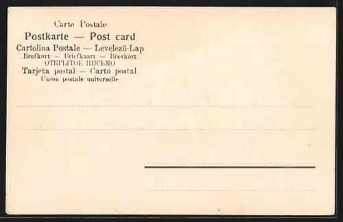 AK Bacharach /Rh., Rheinfront, Ortspanorama