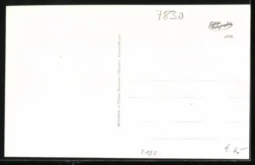 AK Emmendingen, Gasthaus zum Löwen, Schauplatz von Goethes Hermann und Dorothea