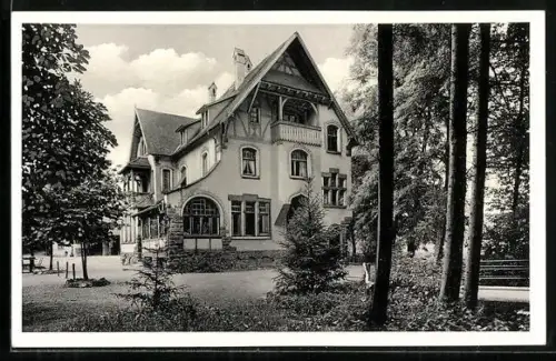AK Lahr i. Schwarzwald, Gasthaus Zur Dammenmühle
