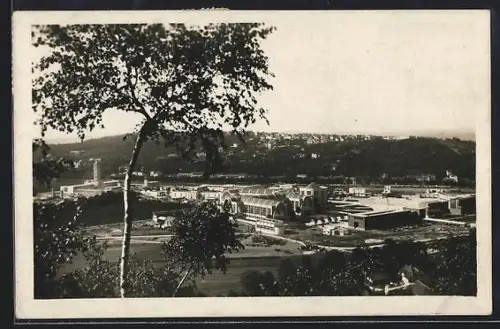 AK Brno, Vystaviste, Panorama