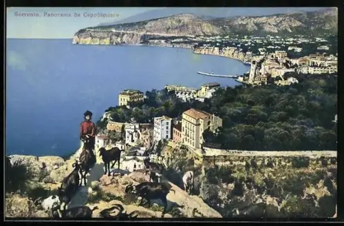 AK Sorrento, Panorama da Capodimonte, Ziegen
