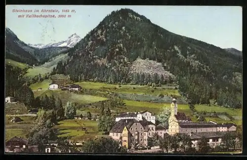 AK Steinhaus im Ahrntale, Teilansicht mit Keilbachspitze