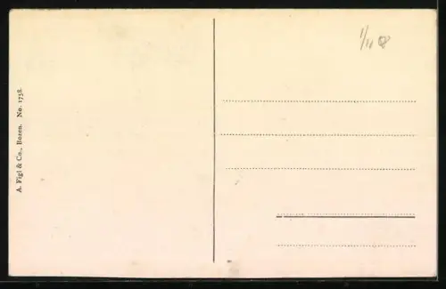 AK Mals, Totale mit Gebirgswand