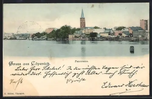 AK Berlin-Köpenick, Cöpenick, Panorama