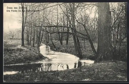 AK Berlin-Pankow, Die Panke im Schlosspark