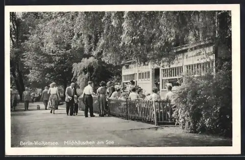 AK Berlin-Weissensee, Milchhäuschen am See