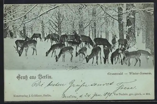 Mondschein-AK Berlin, Grunewald, Winter-Szenerie mit Wild im verschneiten Wald