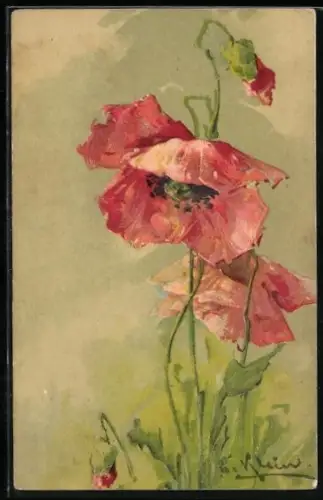 Künstler-AK Catharina Klein: Rote, blühende Blume