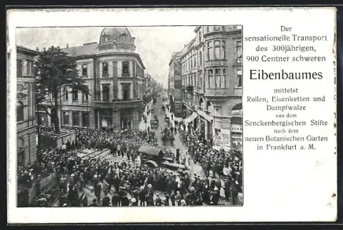 AK Frankfurt-Westend, Erinnerung an den Transport des 300-jährigen Eibenbaumes