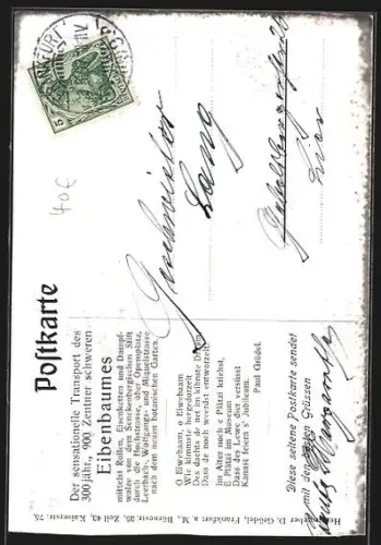 AK Frankfurt / Main, Der sensationelle Transport des 300 jähr. Eibenbaumes zum neuen botanischen Garten