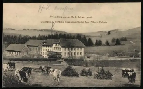 AK Hinterzarten, Kühe vor dem Gasthaus Ravennaschlucht, Bes. Albert Hehnle