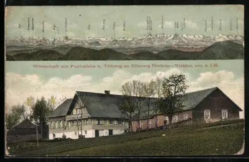 AK Furtwangen, Rohrbach, Wirtschaft zur Fuchsfalle am Höhenweg u. Alpenpanorama