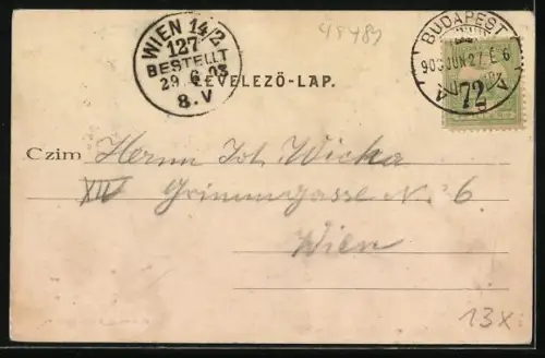 AK Budapest, Blocksberg mit Dampfern